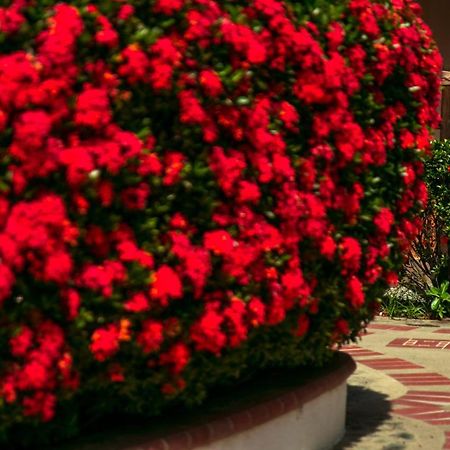 Hosteria Tonusco Campestre Санта Фе де Антиокия Екстериор снимка